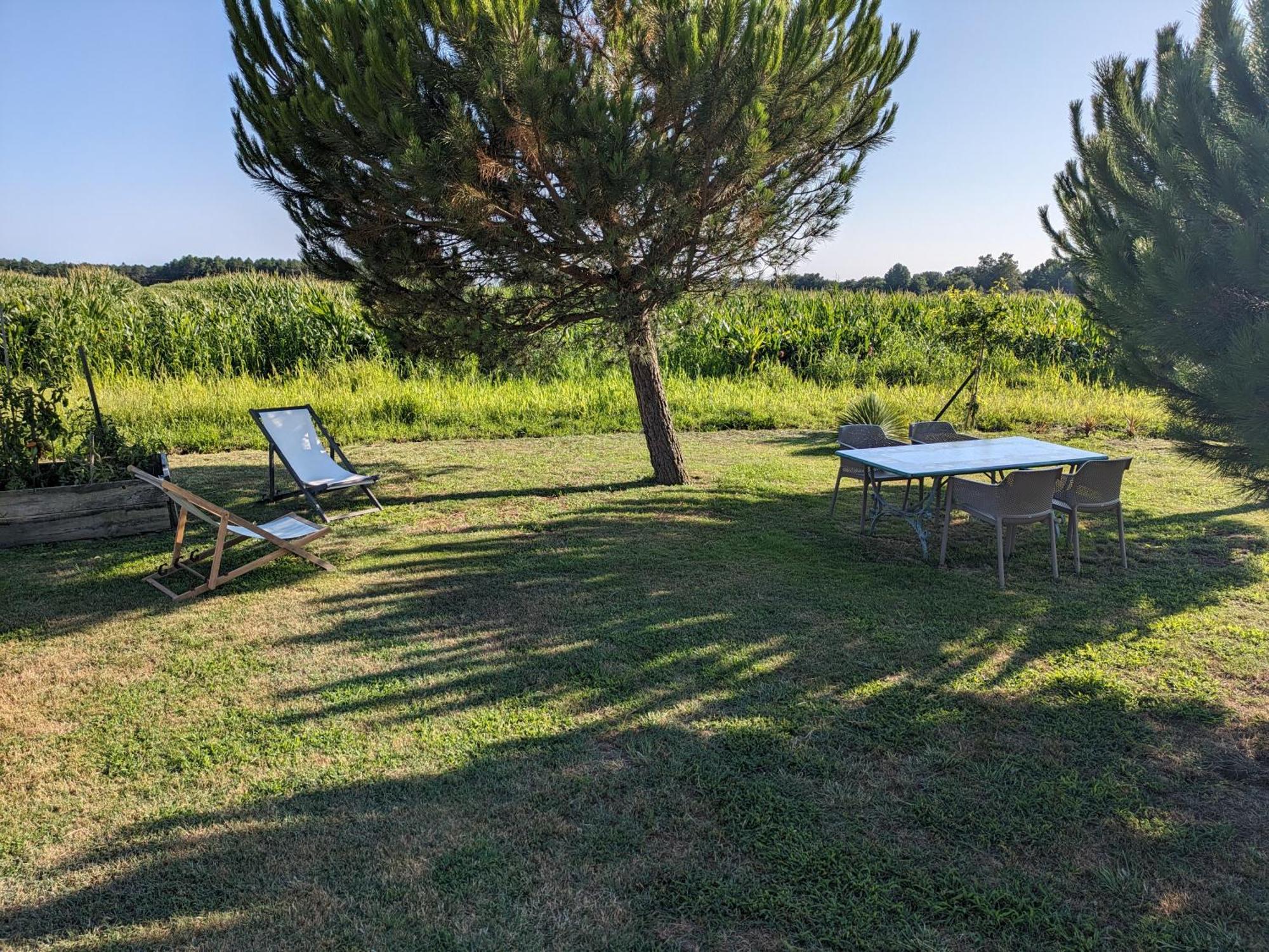La Grange D'Hardy Villa Soustons Dış mekan fotoğraf